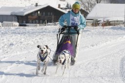 Lenk 2012 SM